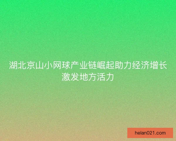 湖北京山小网球产业链崛起助力经济增长激发地方活力